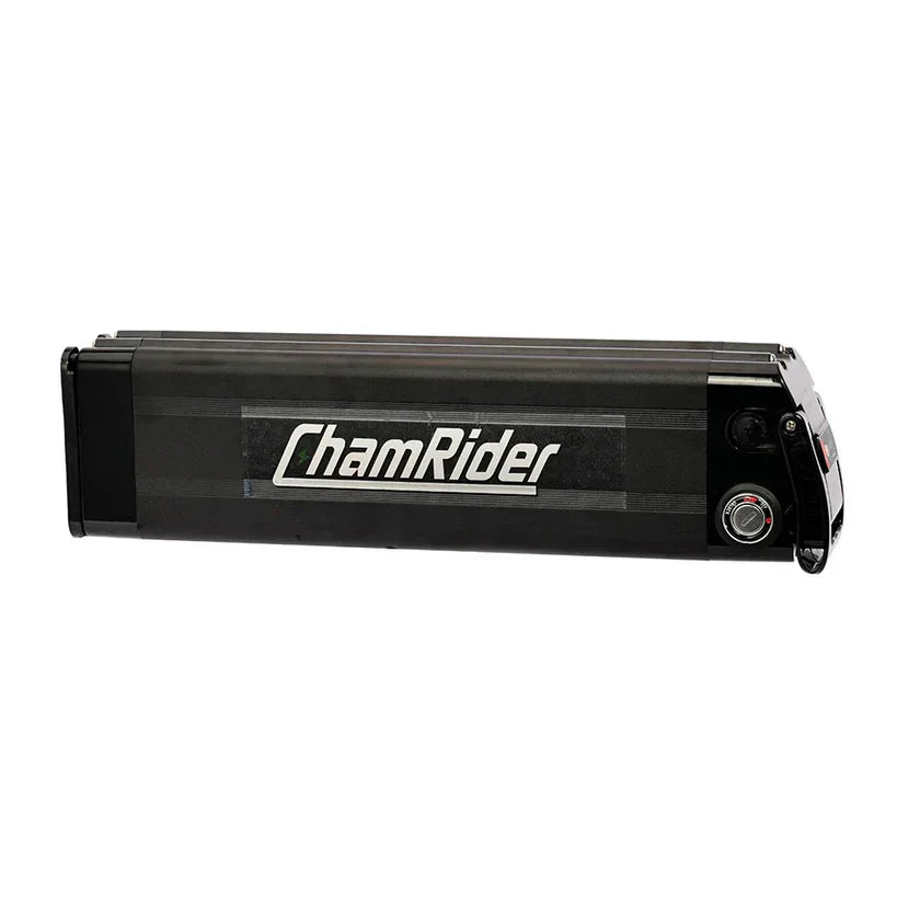How Custom E-bike Batteries Are Revolutionizing Delivery Operations ...