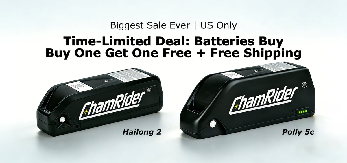 High-performance Electric Bicycle Batteries | ChamRider – ChamRiderbattery