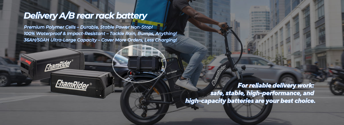 High-performance Electric Bicycle Batteries | ChamRider – ChamRiderbattery