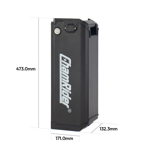 ChamRider 48V 55AH Ultra large Capacity Silverfish Battery / Seat Post Battery Support Super Longe-Range For EU Riders hero
