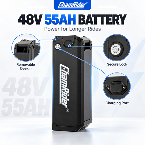 ChamRider 48V 55AH Ultra large Capacity Silverfish Battery / Seat Post Battery Support Super Longe-Range For EU Riders hero
