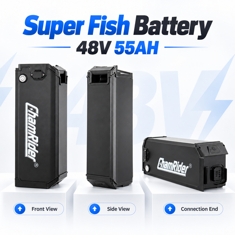 ChamRider 48V 55AH Ultra large Capacity Silverfish Battery / Seat Post Battery Support Super Longe-Range For EU Riders hero