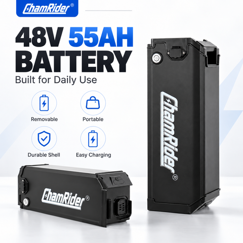 ChamRider 48V 55AH Ultra large Capacity Silverfish Battery / Seat Post Battery Support Super Longe-Range For EU Riders hero