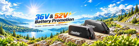 Big-sale Battery