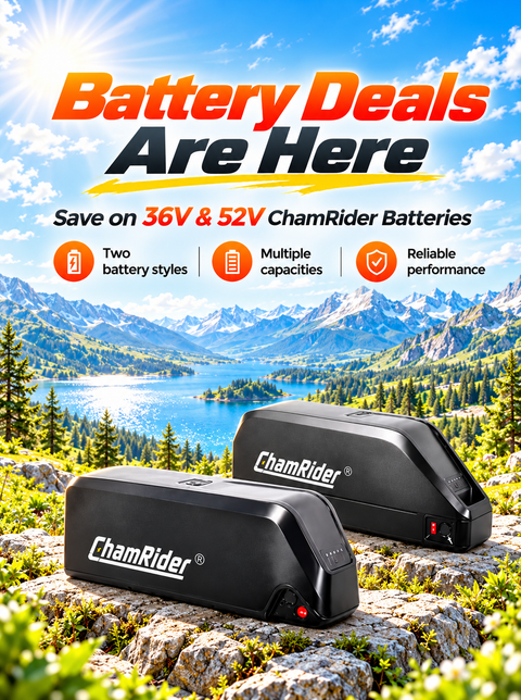 Big-sale Battery